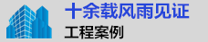 工程案例展示
